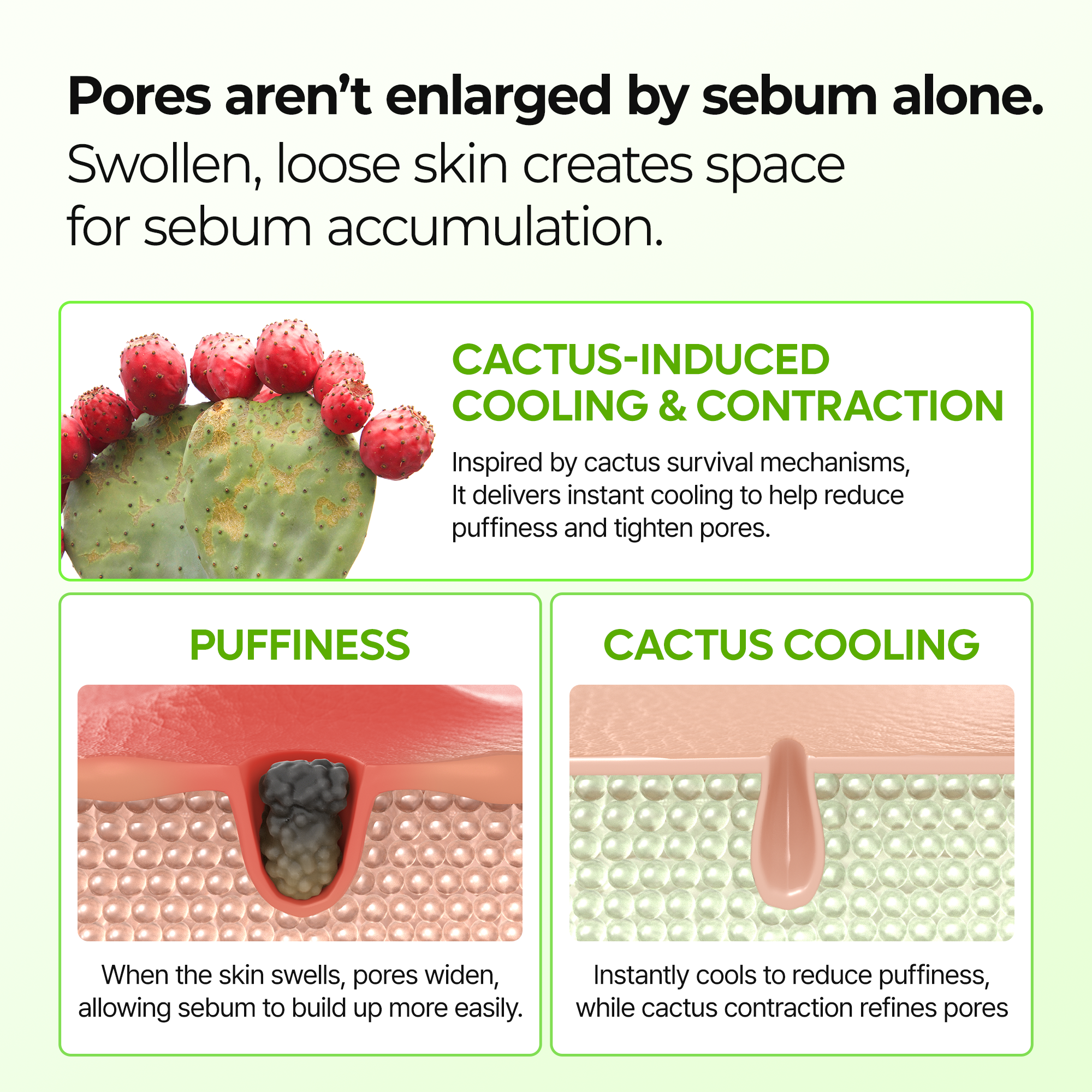 Cactox & Collagen Multi Balm Duo